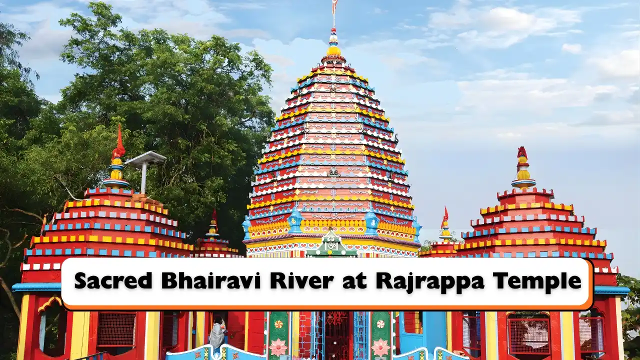 Sacred Bhairavi River at Rajrappa Temple